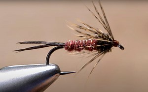How to Tie the Isonychia Soft Hackle | MidCurrent