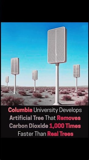 Artificial Trees Can Capture CO₂ 1,000x Faster Than Real Ones — But There’s a Catch