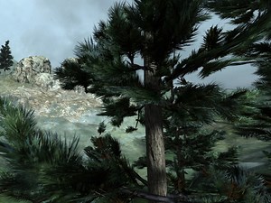 Leaf translucency news - Overgrowth