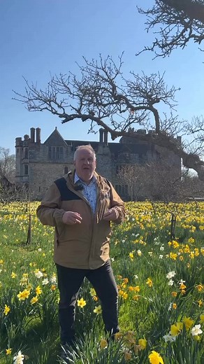 31K views · 1.2K reactions | Spring has sprung at Hever Castle and the gardens are looking stunning. Take a walk with our head gardener to see what’s in bloom! | Hever Castle & Gardens | Facebook