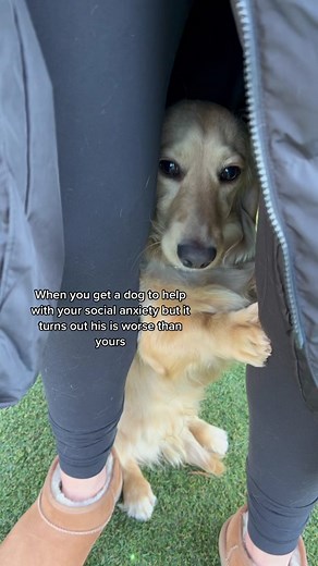 Daisykeech (@daisykeech)’s videos with original sound - Daisykeech