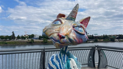 Giant Coraline cat found after going missing from Portland waterfront