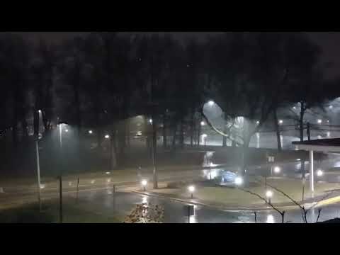 3 월 5-6 경칩 신 한자 24 절기 곤충밥 49 일