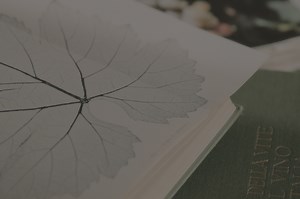 Academy - Prosecco.it — Conegliano Valdobbiadene