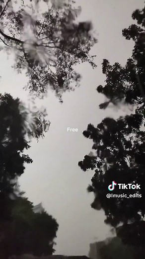 Unity #alanwalker #slowedsongs #tiktoklong