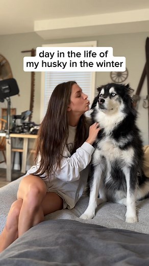 wake up, layer up, “waffles”, repeat 🫡#Husky #Huskies #DogVideos | Levi the Husky Rescue