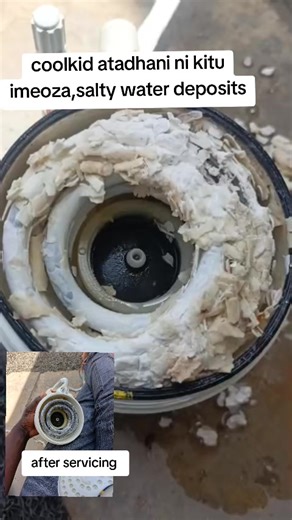 Tungsten Electricals Location and Service Insights