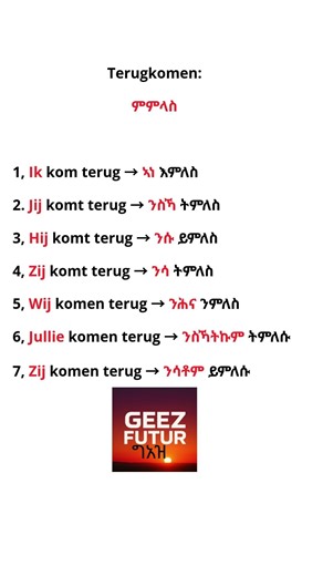 Nederlands en Tigrinya leren grammatica