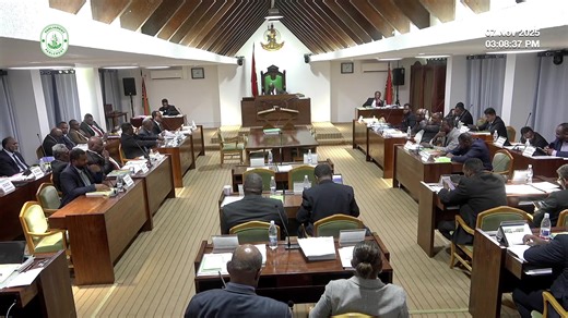 The Parliament of the Republic of Vanuatu -The Second Ordinary session of 2025 Day 2- PM | Vanuatu Parliament