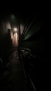 Hallway Shrouded Darkness Bright Light Casting : vidéo de stock (100 % libre de droit) 3759931967 | Shutterstock