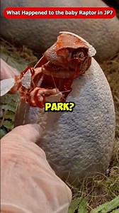 What Happened to the Baby Raptor in Jurassic Park? Jurassic World Rebirth Chaos Theory Evolution 3