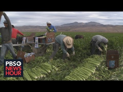 Temporary Farm Workers by the Numbers: How Do They Make Ends Meet?