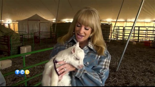 Twin Cities Spring Babies Festival