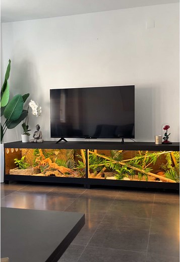 Creating a Stunning Construction Terrarium for Ball Pythons