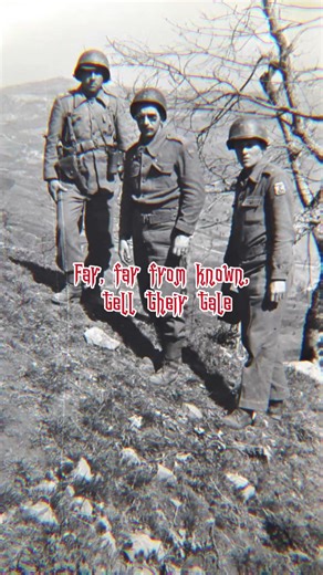 Cobras fumantes, eterna é a sua vitória 🐍🚬 #army #history #guerra #ww2 #feb #sabaton