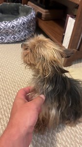 23K views · 2.4K reactions | Gizmo #1 storm chaser is just dominating. Chase team back together. We will be focusing on air mass storms and flooding for a few weeks | Reed Timmer Extreme Meteorologist | Facebook