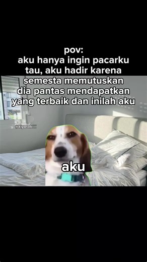 Kucing Lucu dan Meme Beruntung