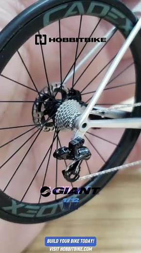 Small wheels, big imagination — this miniature bicycle reminds us that adventure doesn’t need size, just spirit