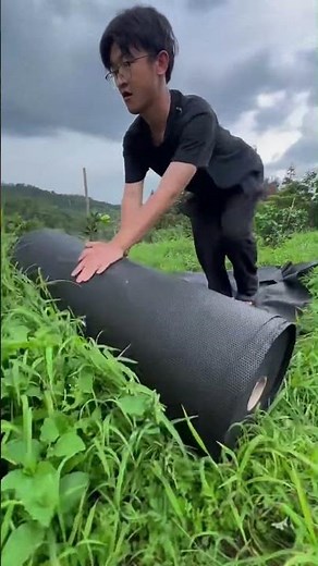 The smart tarp that kills weeds and protects your crops 💦🌿