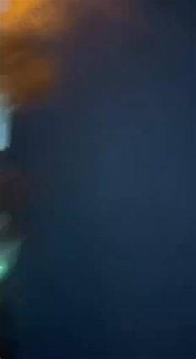 🇺🇦👊🚀🔥 Engels🇷🇺 🔥🔥🔥 Ulmus Rubra Ulmus Nigra Ulmus Marginata Ulmus Variegata Ulmus | Daniele Ferrari