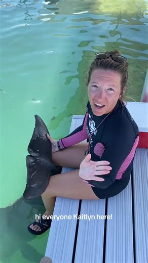 This weeks dolphin trivia is guess that dolphin!! After taking a look at these beautiful tail flukes which dolphin do you think this is Leave your guesses in the comments below and check back tomorrow for the a~ | dolphinconnection