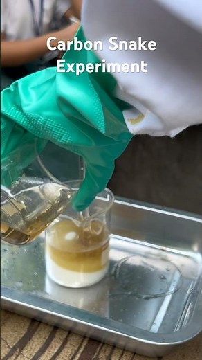 Carbon Snake Experiment (Sugar + Sulfuric Acid) #chemistry #grade10science #science