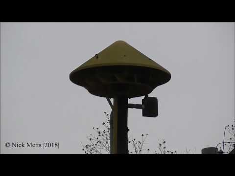 ACA Cyclone 120 - Carollton, MO (Caroll County Tornado Siren Test) 2/1/18