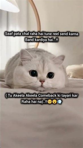 "Viral Meme Shorts Collection | Watch & Download"#memes #comedy #funny #funnyshorts #fun #jokes