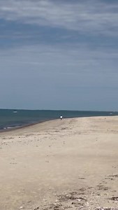 88K views · 10K reactions | I took a long walk with God along the...