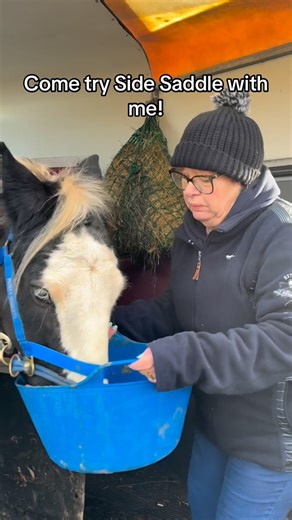 GR Equestrian on Instagram: "Haven’t laughed at a video so hard since this one! Come and try side saddle with me, bloopers included! Almost fall off, and Mum gets messy 🙈 #sidesaddle #cob #bloopers #equestrian #funnyhorsevideos"