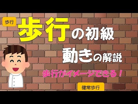 【正常歩行】歩行の動きの解説動画