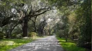 FOR YOUR PRECIOUS LOVE Lyrics - KENNY VANCE & THE PLANOTONES | eLyrics.net