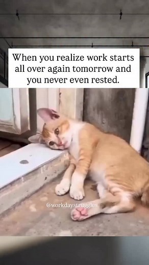 345K views · 949 reactions | Anyone else feel like the weekend just...