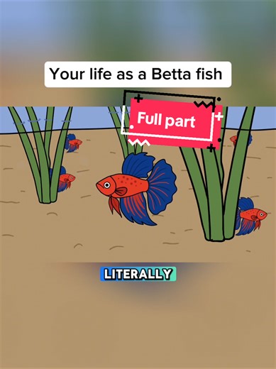 The Challenges of Being a Betta Fish: An Insight