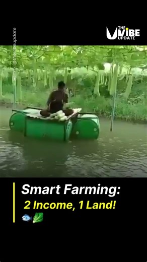 Smart Farming: 2 Income, 1 Land! 🐟🥬