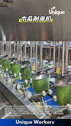 Papaya peeling machine: people operating a papaya peeling machine