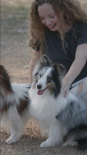Woman Playing with Two Pet Dogs