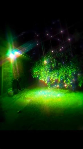 Sleeping Suburbia 🌙🦉🏘️ on Instagram: "backyard stargazing 🌈✨🌳 🌈✨🌳 🌈✨🌳 #dreamcore #sleepingsuburbia #nightowl #liminalsuburbia #nostalgia #notai #remix #liminaldreamscape #greenworld"