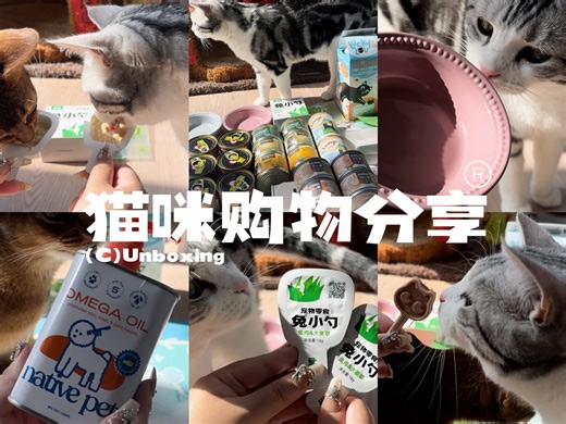 🌿5月猫咪购物开箱 | Piu亮碗碗零食罐罐🏝️