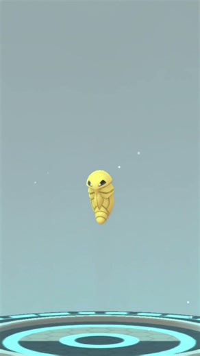 weedle max evolution in Pokemon Go #shorts #pokemon