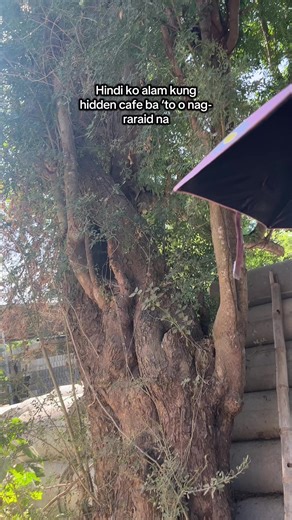 Exploring the Charm of Hidden Cafe by the River