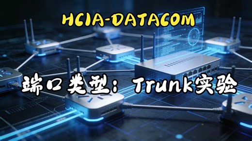 端口类型Trunk实验