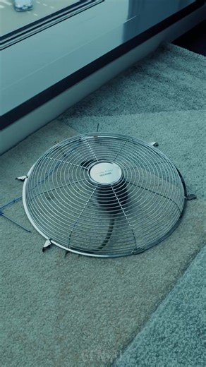 Ideas fáciles para deshacerte de insectos y animales salvajes en casa 🐛 | Genial