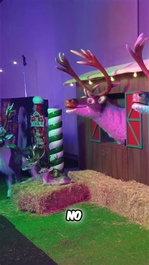 Santa's Village Christmas Magic Revealed!