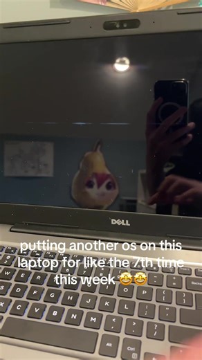 truenas time #fyp #tech #truenas #linux #laptop