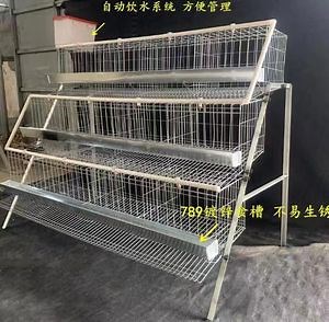 [Hot Item] Chicken Cage Layer Poultry Hens Battery Chicken Cage