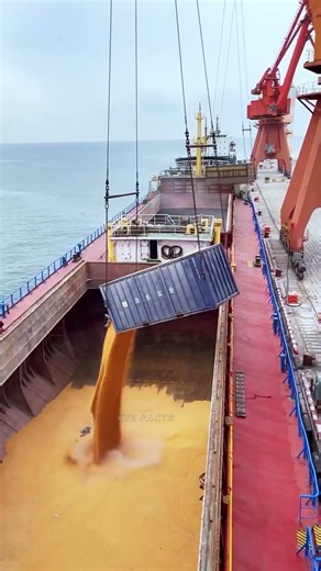 How Bulk Carrier Ships Transport Coal and Food in the Same Vessel ? #facts