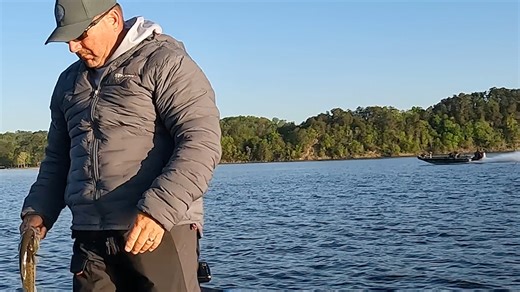 1.2M views · 3.6K reactions | This is footage from the boat crash on...