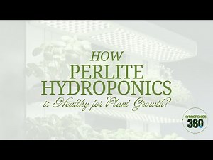 How Perlite Hydroponics is Healthy for Plant Growth - hydroponics360.com