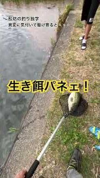 少年の異変に気付き駆け寄ると！こりゃたまげたわぁ🫢オパンチュ池のモンスターに遭遇！松坊の釣り独学チャンネル♪